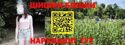 крисы Ирбит