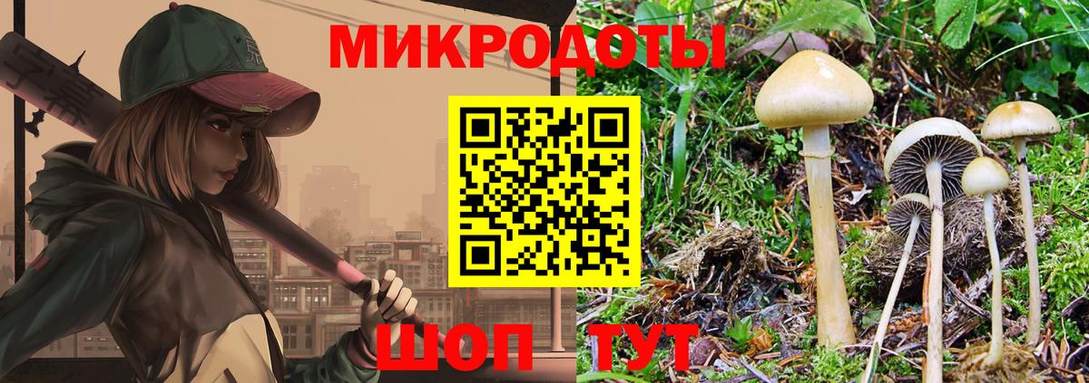 Галлюциногенные грибы Cubensis Майкоп