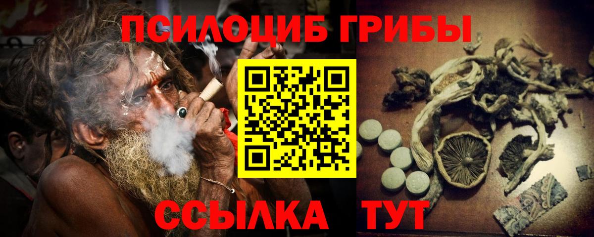 Псилоцибиновые грибы Psilocybe  Псилоцибиновые грибы Psilocybine cubensis  Майкоп  Вход с VPN 